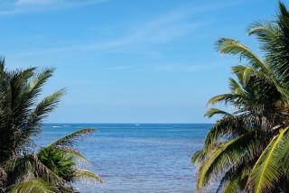 Residences at Barrier Reef 1-3B Oceanfront 2 BR by Stay Floreo - Ambergris Cay - 2