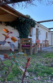 Finca La Pichona - 9