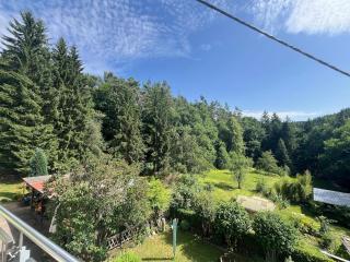 Apartment Waldidyll - 9