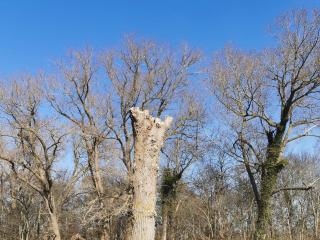 5 person holiday home in Holeby - 2