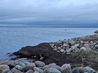 4 person holiday home in Nibe-By Traum - 2