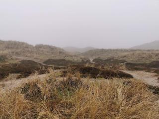 6 person holiday home in Ringkøbing - 2