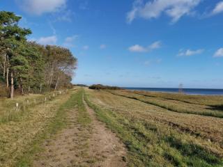 8 person holiday home in Idestrup - 5