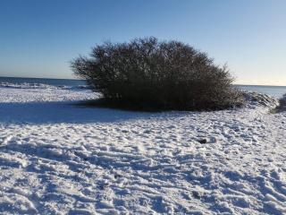 8 person holiday home in Idestrup - 3