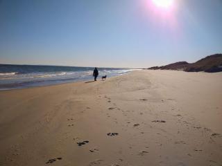 2 person holiday home in Skagen-By Traum - Skagen - 2