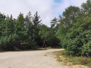 4 person holiday home in Oksbøl - 8