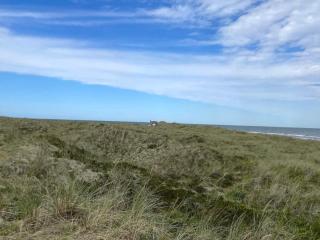 4 person holiday home in Læsø - 8