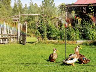 Country Rustic Loghouse at Teepee Meadows - 6