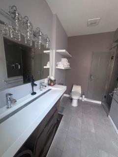 Luxe Hyde Park Gray Stone near UofC - 1