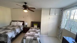 Centrally Located Modern Cottage in Liguanea - 6