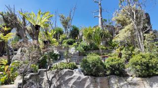 Jambuluwuk Bromo Poshtel - 7