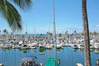 Ilikai Marina #388 - Honolulu - 7