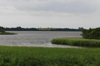 Stege Nor - Stege - 7