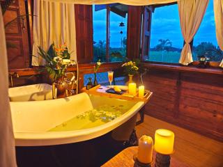 Fieldlight & Pool Villa private pool云上稻影 - 7