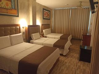 D´Milez Hotel - 5