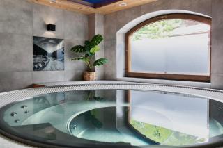 Willa Baciarka-basen, sauny i jacuzzi - 1