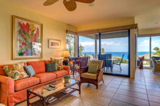 Kapalua Bay 14G415B316G4 FREE CAR KBM Resort - 8