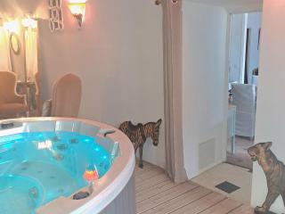 Le gîte de Sainte Valière PISCINE,SPA et CLIMATISATION - 9