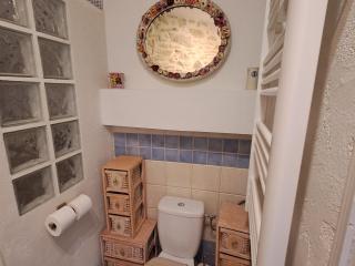 Le gîte de Sainte Valière PISCINE,SPA et CLIMATISATION - 5