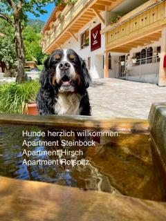 Chalet Hirschbach - 8
