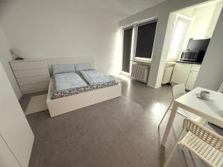 1-Zimmer Apartment in Goldberg - 0