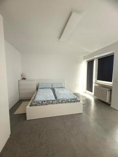 1-Zimmer Apartment in Goldberg - 1