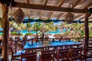 Jungle Guardian - Rooftop Pool & Beach Club in Zona Hotelera Tulum - 8