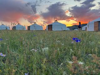 Jalman Meadows Wilderness camp - - 0