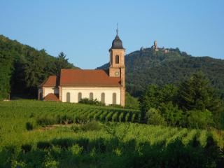 Au Coeur Du Vignoble - Orschwiller - 5