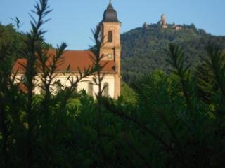 Au Coeur Du Vignoble - Orschwiller - 1