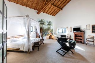 Le Palmier Exotique - Bazas - 7