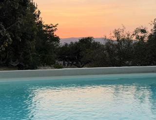 wooden Edge Of The Village - 3