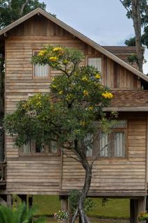 Luxury Treehouse Khaoyai - 5