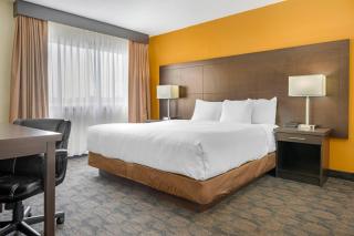 Quality Inn & Suites - 9