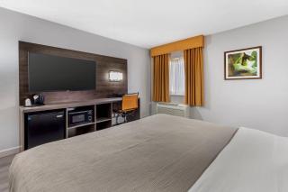 Quality Inn & Suites Raleigh Durham Airport - 1