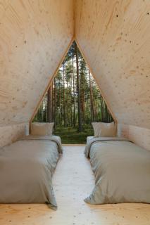 Forest View Cottage - 0