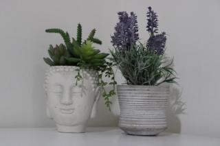 Luxury Group Retreat in Heart of DC! - 9