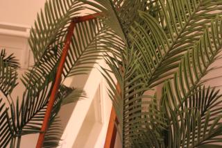 Luxury Group Retreat in Heart of DC! - 7