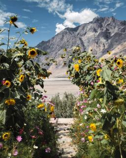 Dera Lamsa Resort Shigar - 1
