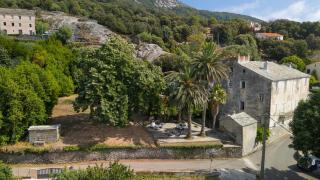 Appartement dans le Cap Corse - Canari - 9