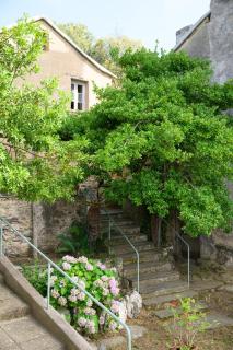 Appartement dans le Cap Corse - Canari - 7