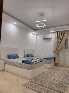 Manial Cozy Nile View - 9