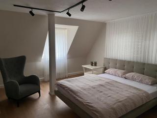 HK Gold Apartment Friedrichshafen am Bodensee - 5