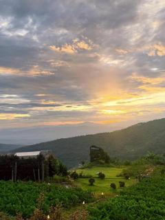 Phupetra ภูเปตรา - 6