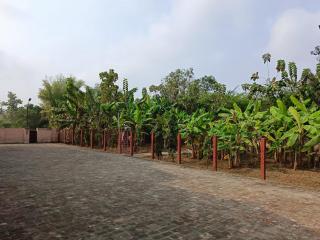 SV HOMES Thiruvisanallur - 4