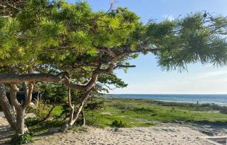 Beautiful Home In Gotlands Tofta - 5