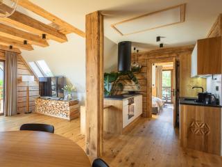 Apart H900 - Zakopane Tatra View - 1