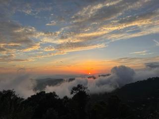 Hunter's Cottage - 8