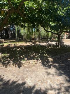 Maison d hôtes Las Pistaxes - 2