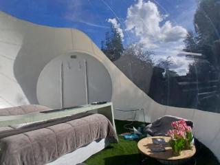 La bulle - 8